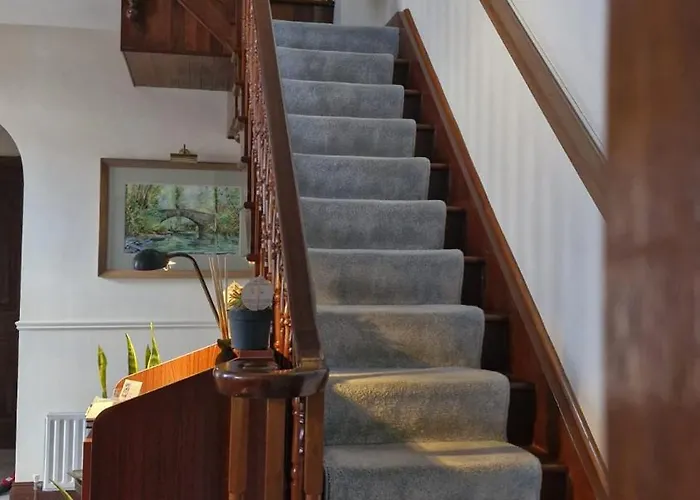 Wytchwood Clonakilty